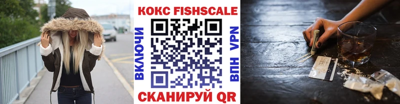 Купить закладки  Михайлов  Cocaine Fish Scale 