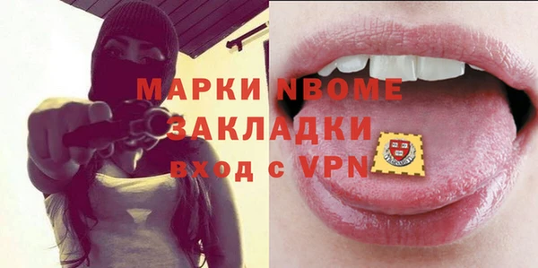 амф Бородино