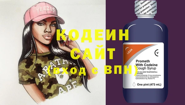 амф Бородино