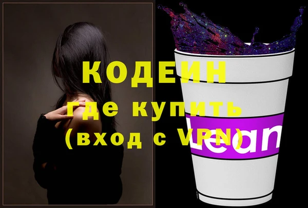 амф Бородино