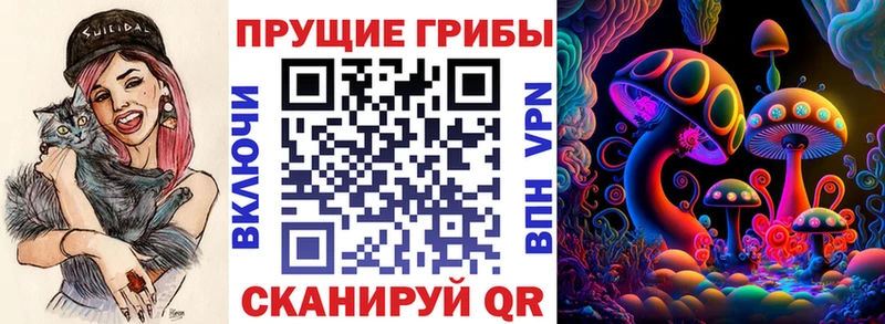Купить где Михайлов Галлюциногенные грибы ЛСД